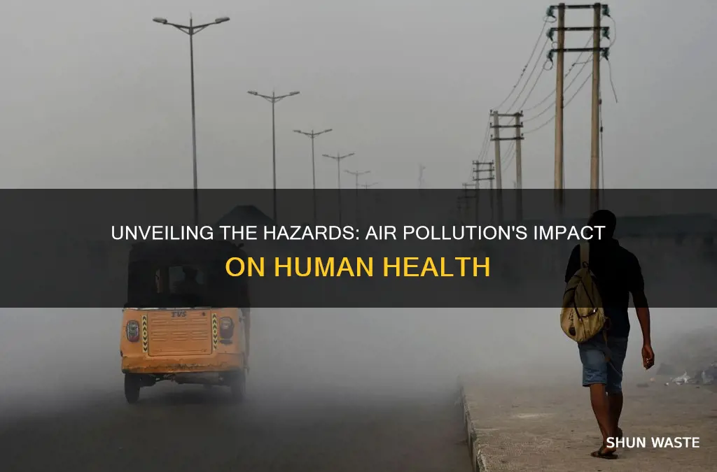 what can air pollution do to us