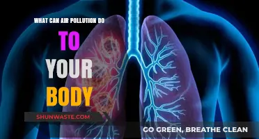 Air Pollution's Toxic Impact: Unveiling the Hidden Dangers on Your Health