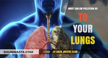 Breathing Trouble: Unveiling the Hazards of Air Pollution on Lung Health