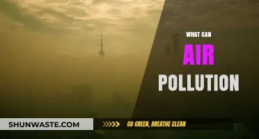 Air Pollution's Impact: A Breath of Awareness