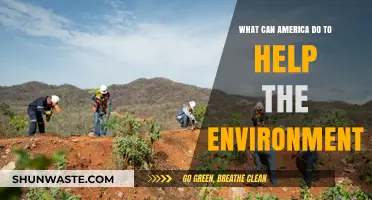 Sustainable Solutions: How America Can Lead Environmental Change