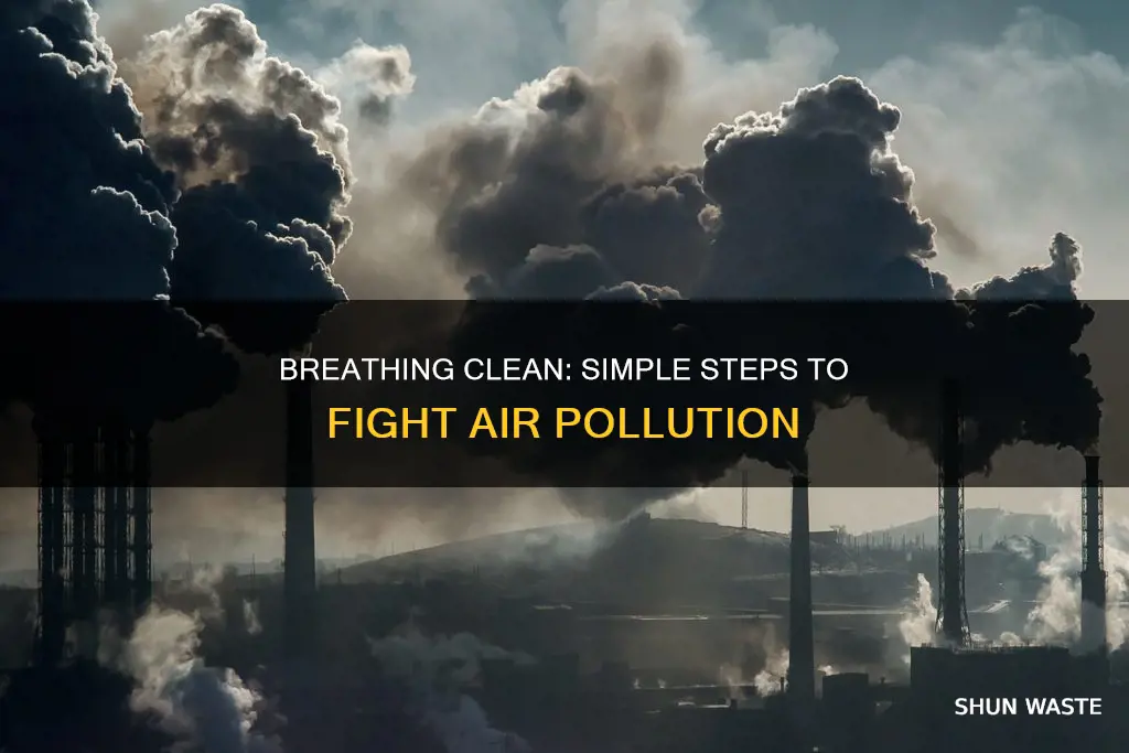 what can an individual do to help air pollution