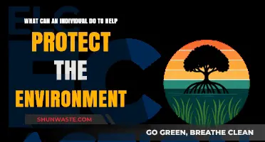 Sustainable Steps: How Individuals Can Protect Our Environment Daily