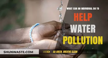 Fight Water Pollution: 5 Simple Steps for a Healthier Planet