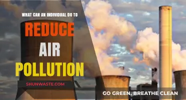 Breathing Clean: Empowering Individuals to Fight Air Pollution