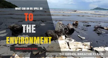 Devastating Impacts: How Oil Spills Destroy Ecosystems and Wildlife