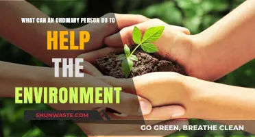 Simple Eco-Friendly Actions: How Everyday People Can Save the Planet