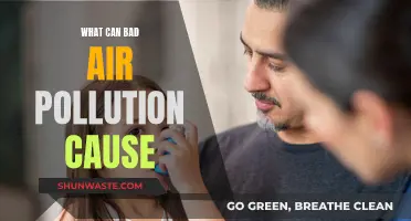 Air Pollution: A Health Hazard