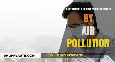 Breathing Trouble: Air Pollution's Impact on Respiratory Health