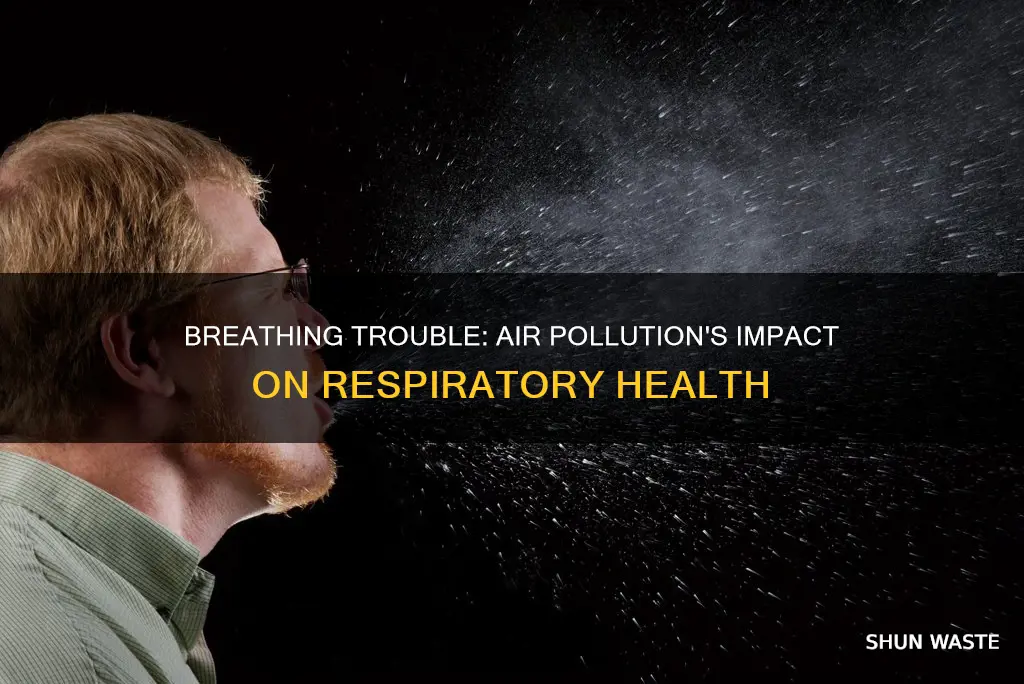 what can be a health problem caused by air pollution