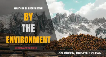 How the Environment Breaks Down Materials: A Comprehensive Exploration