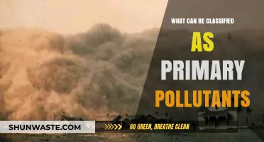 Understanding Primary Pollutants: A Comprehensive Guide