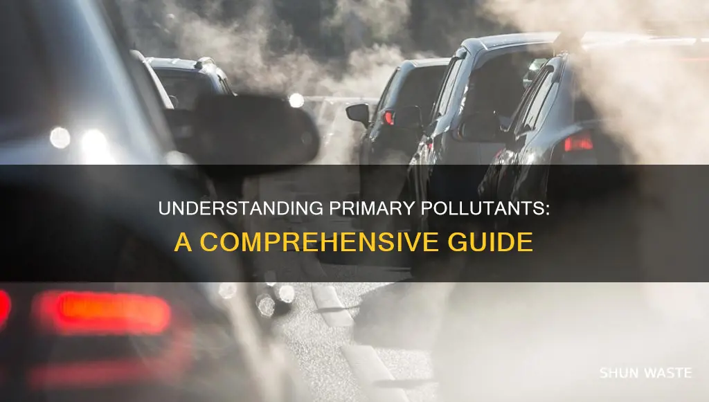 what can be classified as primary pollutants