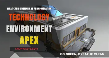 Defining the Apex of an Information Technology Environment: Key Insights