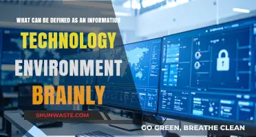 Understanding the Components of an Information Technology Environment on Brainly