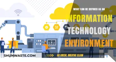 Understanding the Core Components of an Information Technology Environment