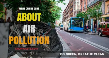 Battling Air Pollution: Effective Solutions for a Healthier Future