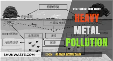 Tackling Heavy Metal Pollution: Solutions for a Healthier Environment