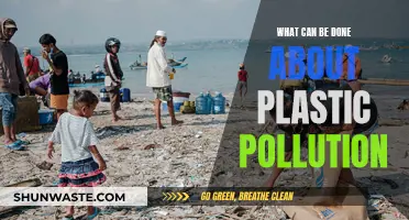 Combating Plastic Pollution: Strategies for a Sustainable Future