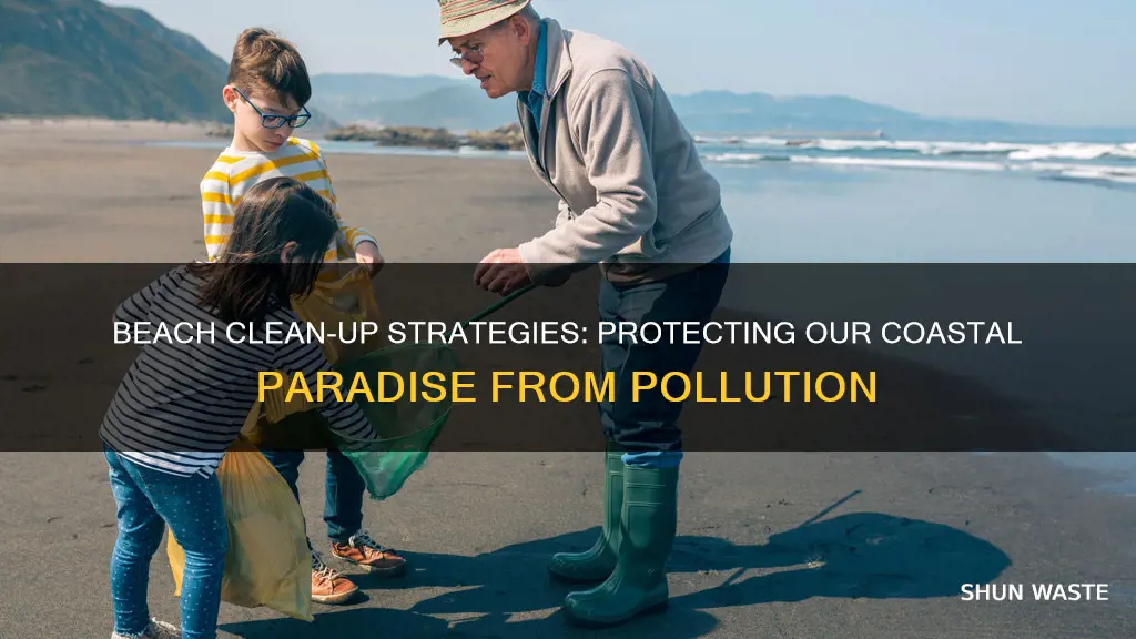 what can be done about pollution at the beach