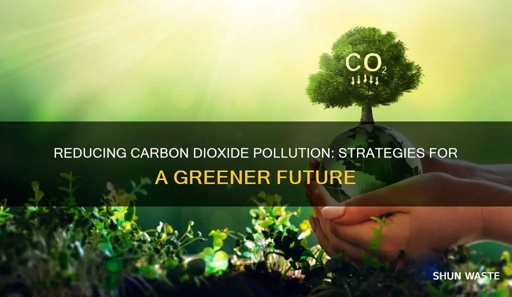 what can be done about pollution that causes carbon dioxide