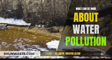 Battling Water Pollution: Effective Solutions for a Healthier Planet