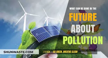 Future Solutions: Combating Pollution with Innovation and Awareness