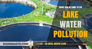 Restoring Lakes: Effective Solutions to Combat Water Pollution