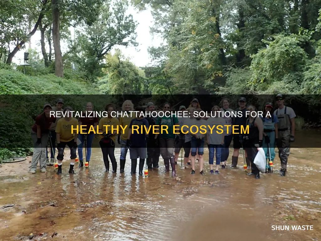 what can be done to fix the chattahoochee pollution problem