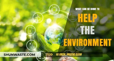 Sustainable Steps: Practical Actions to Protect and Restore Our Environment
