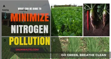 Strategies to Reduce Nitrogen Pollution: A Comprehensive Guide