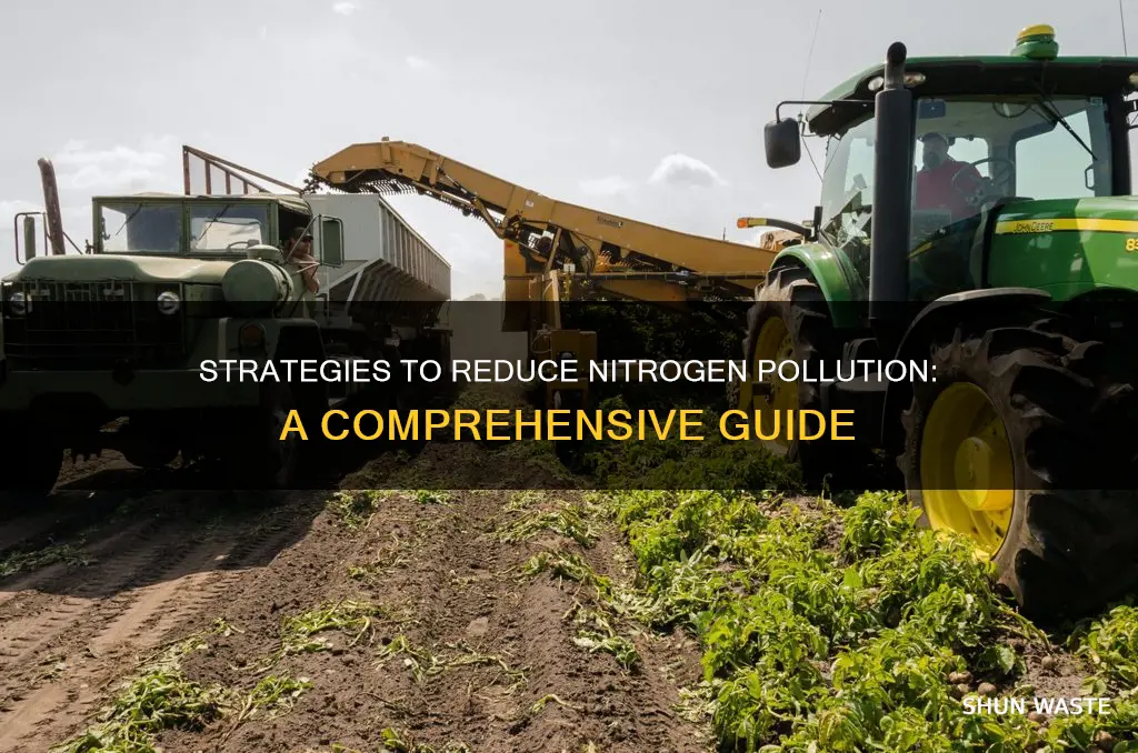 what can be done to minimize nitrogen pollution