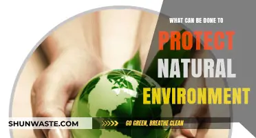 Sustainable Steps: Protecting Our Natural Environment for Future Generations