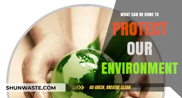 Sustainable Steps: Practical Actions to Safeguard Our Environment Effectively