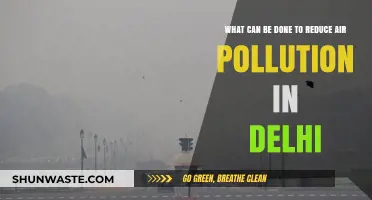 Breathing Clean: Strategies to Tackle Delhi's Air Pollution Crisis