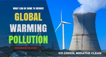 Global Warming Solutions: 5 Effective Strategies to Reduce Pollution