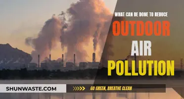 Strategies to Reduce Outdoor Air Pollution