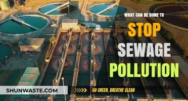 Strategies to Combat Sewage Pollution: A Comprehensive Guide