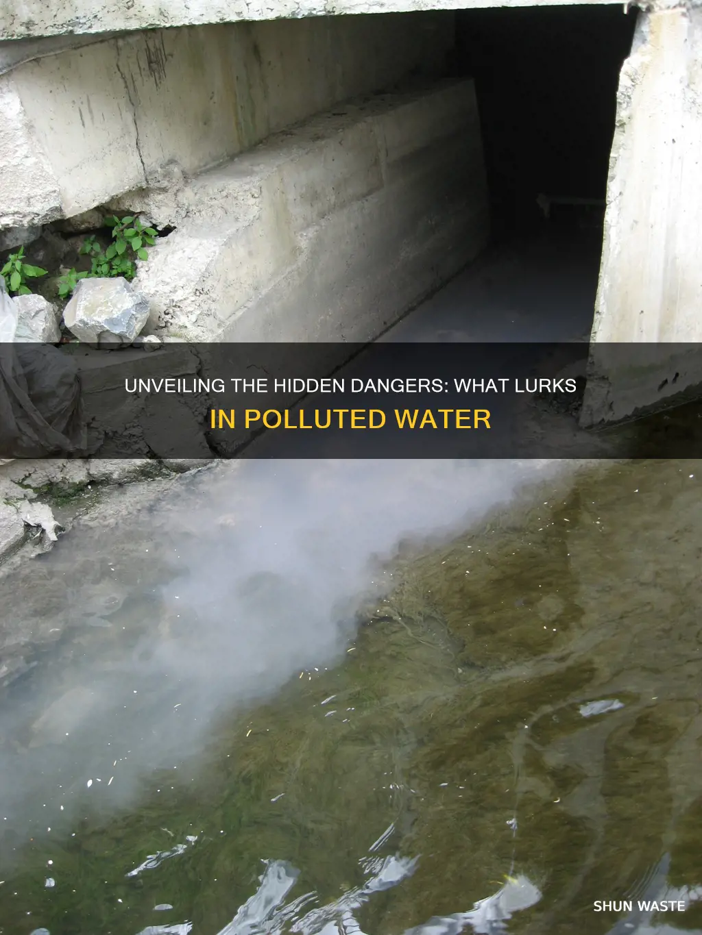 what can be found in polluted water