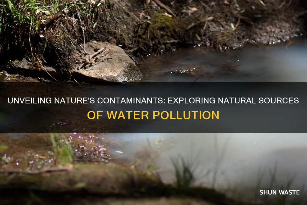 what can be natural sources of water pollution