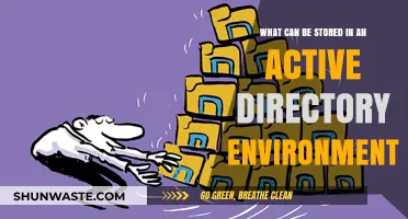 Exploring Active Directory: Key Data and Objects Stored in Its Environment
