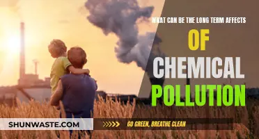 Chemical Pollution: Long-Term Health Hazards and Our Future