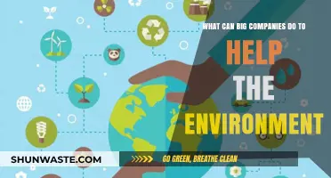 Corporate Eco-Action: How Big Companies Can Drive Environmental Change