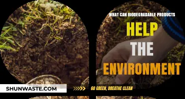Eco-Friendly Impact: How Biodegradable Products Benefit Our Environment