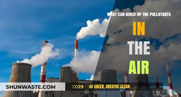 Unveiling the Hidden Sources: What Contributes to Air Pollution?