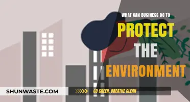 Sustainable Strategies: How Businesses Can Lead Environmental Protection Efforts