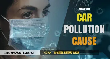 Unveiling the Hidden Dangers: Car Pollution's Impact on Health and Environment