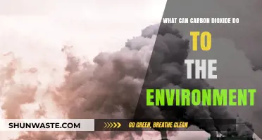 Carbon Dioxide's Environmental Impact: Climate Change, Ecosystems, and Solutions