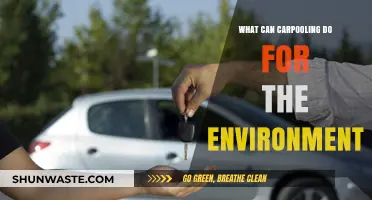 Carpooling's Green Impact: Reducing Emissions and Saving Resources