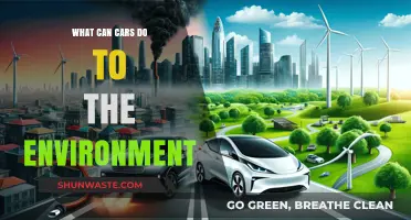 How Cars Impact the Environment: Pollution, Climate Change, and Solutions